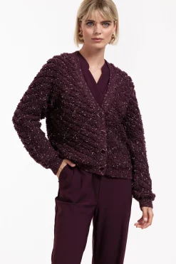 Iris chunky glitter cardigan -|Studio Anneloes Best